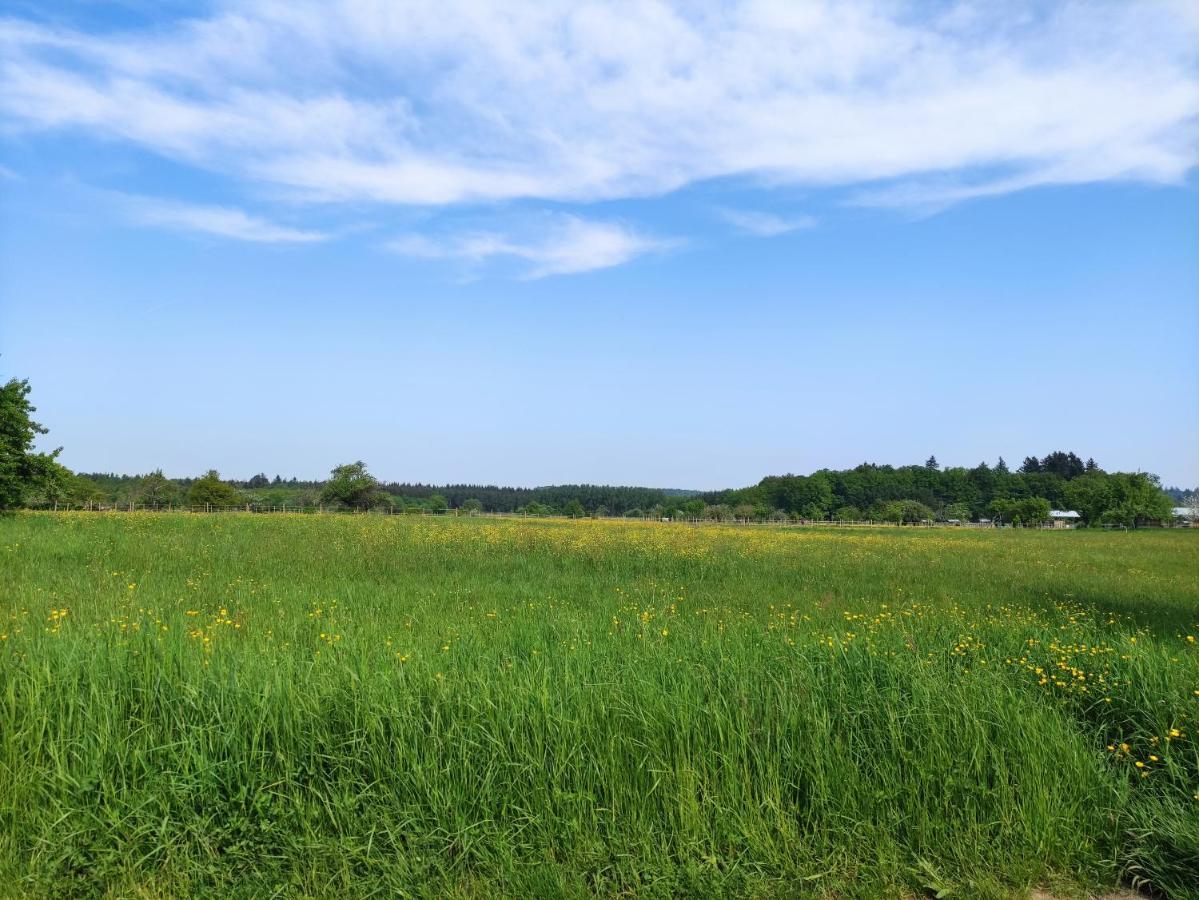 Fewo Albtaleck - Wohnen Im Kurort Waldbronn Exterior photo